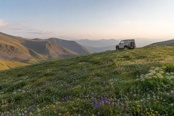Ultra-realistic wide-angle landscape photography of an almond/beige Suzuki… — AI Model prompt by @oju689