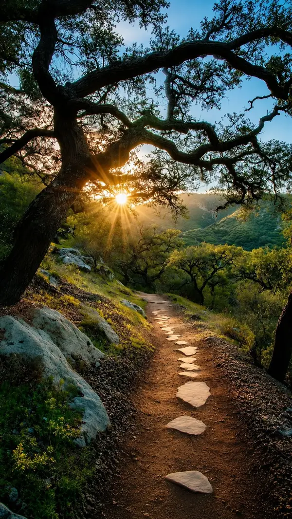 Cinematic nature photography of a winding forest trail at golden hour, ancient… — AI Model prompt by @oju689