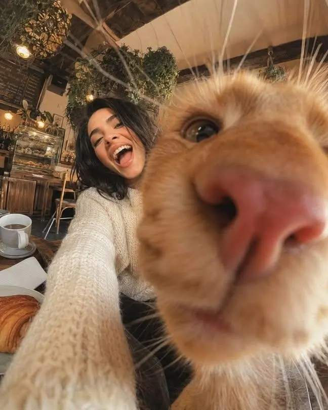 A hilarious, extreme 0.5x wide-angle low selfie looking up, ruined by a pet. An… — GPT Image 2 prompt by @kingofdairyque